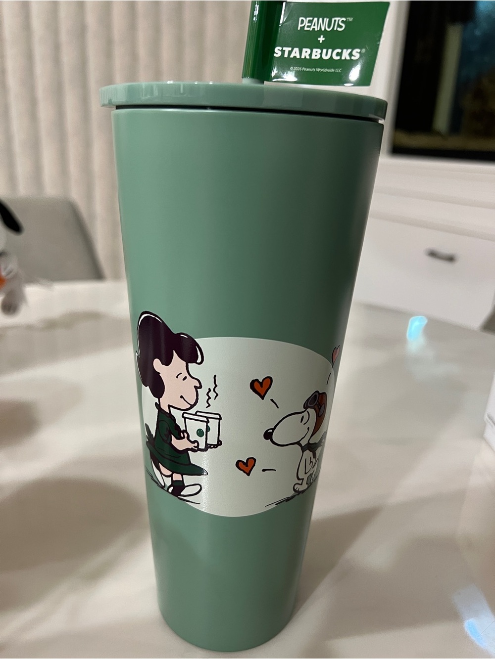Starbucks Matte Sage Green Peanuts Tumbler with Snoopy Artwork